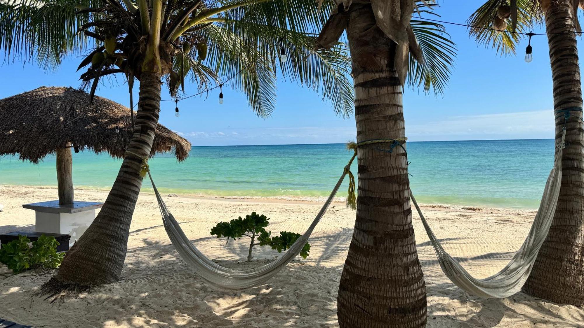 فيلا Pronoia Casa De Playa ماهاهوال المظهر الخارجي الصورة