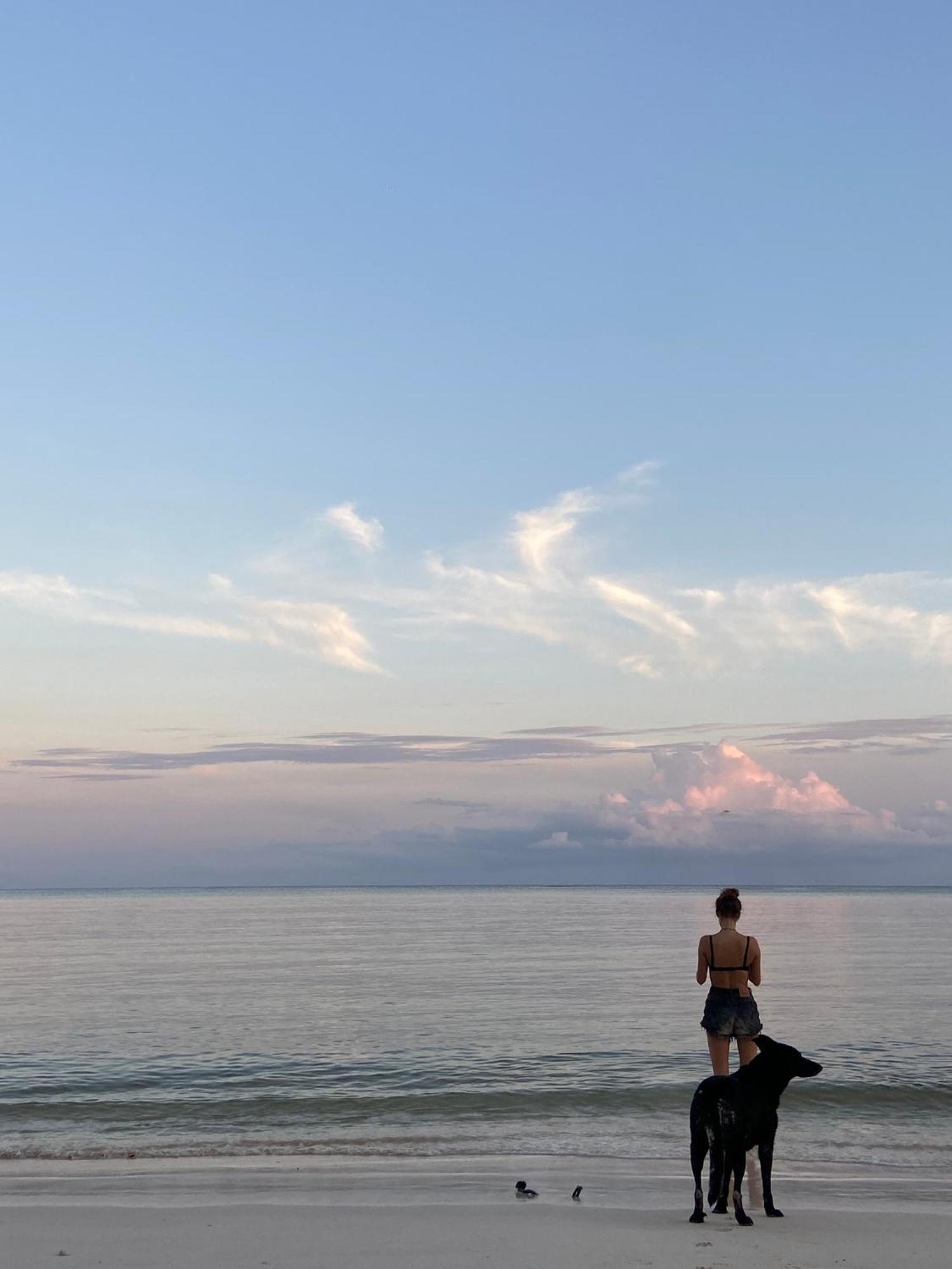 فيلا Pronoia Casa De Playa ماهاهوال المظهر الخارجي الصورة