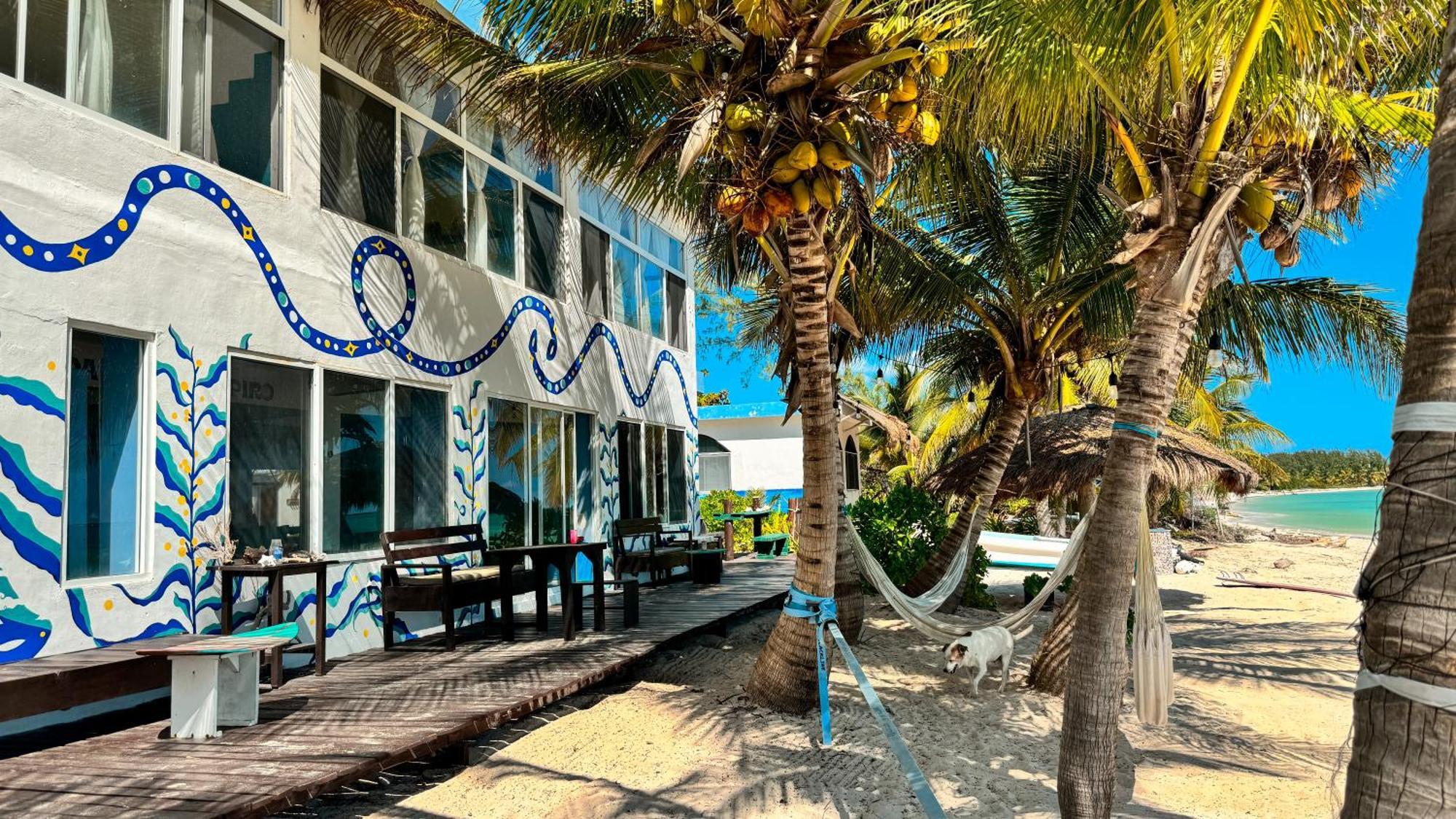 فيلا Pronoia Casa De Playa ماهاهوال المظهر الخارجي الصورة