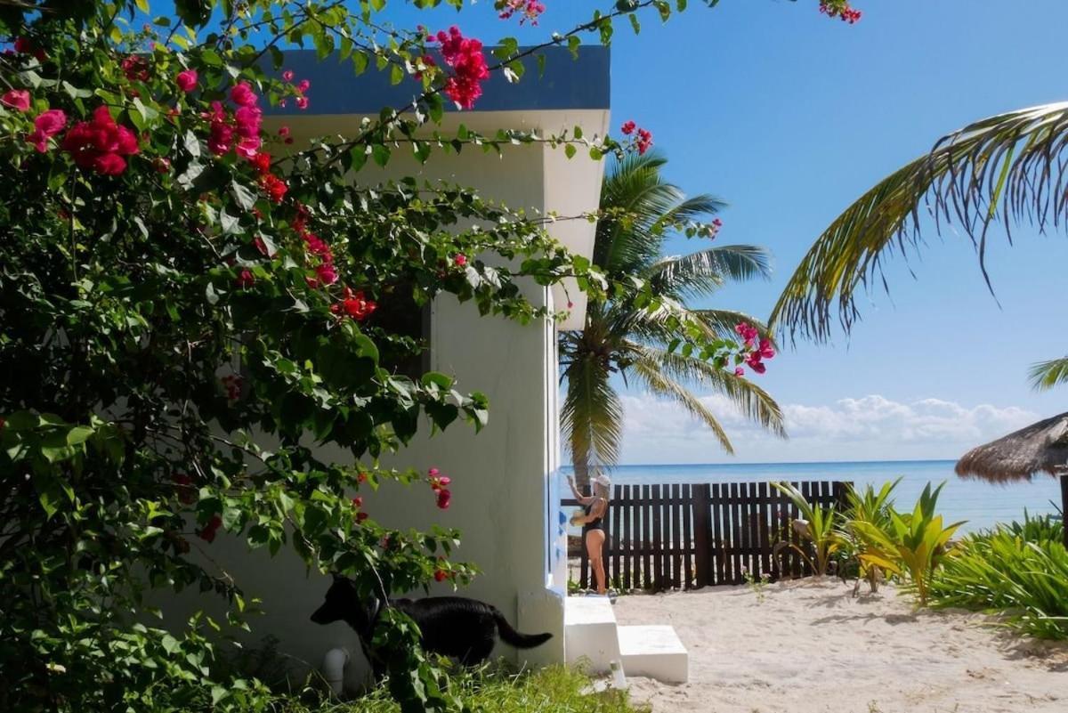 فيلا Pronoia Casa De Playa ماهاهوال المظهر الخارجي الصورة