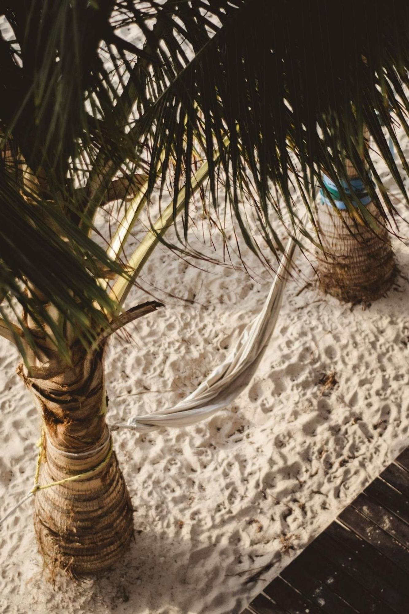 فيلا Pronoia Casa De Playa ماهاهوال المظهر الخارجي الصورة